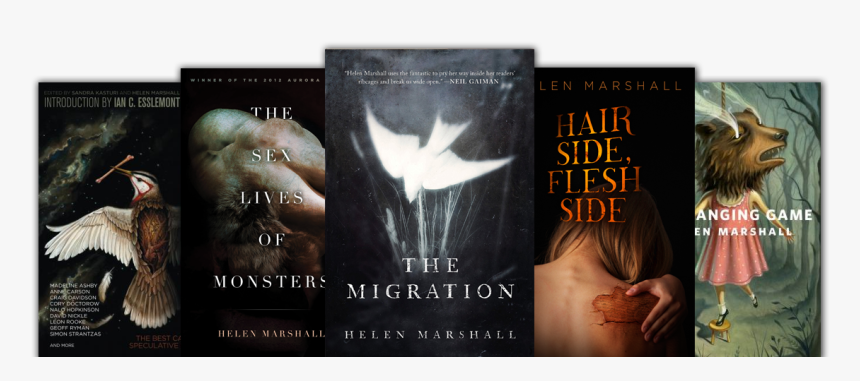 Novel, HD Png Download