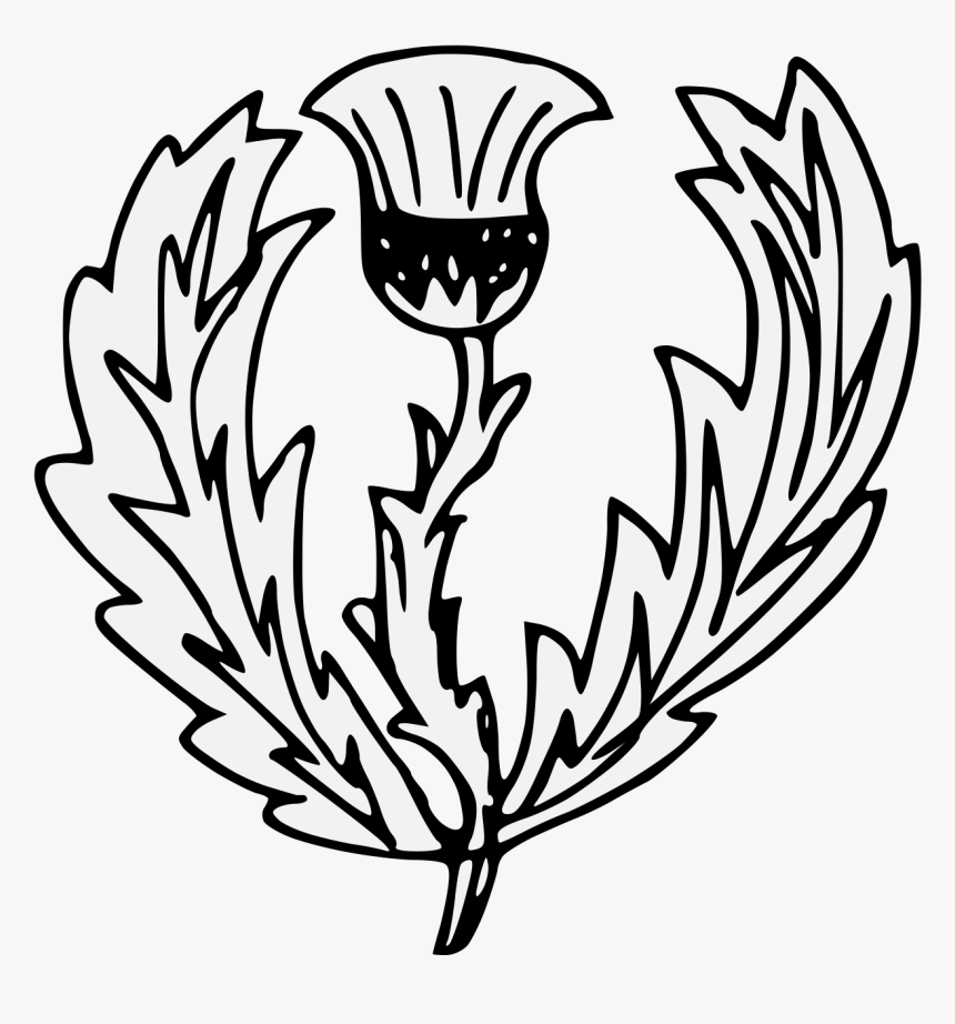 White Thistle Silhouette Clip Art, HD Png Download