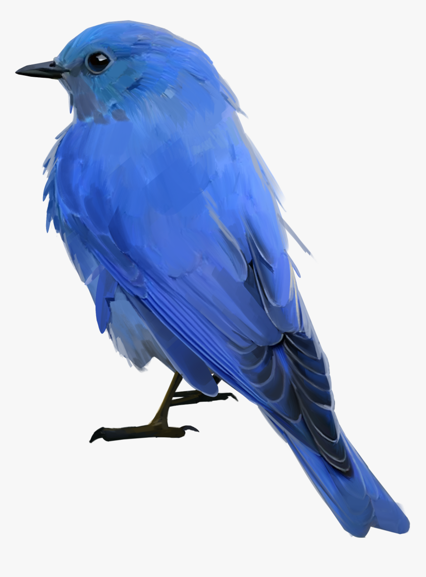 Mountain Bluebird , Png Download - Mountain Bluebird Transparent Background, Png Download