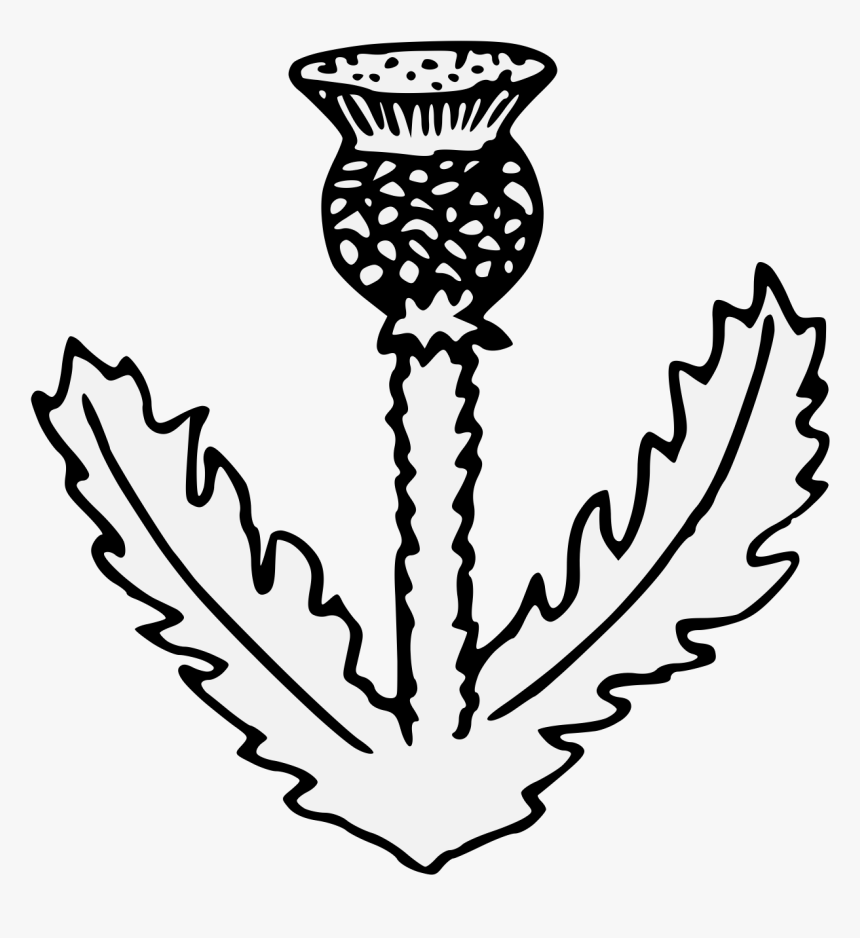 Clip Art, HD Png Download