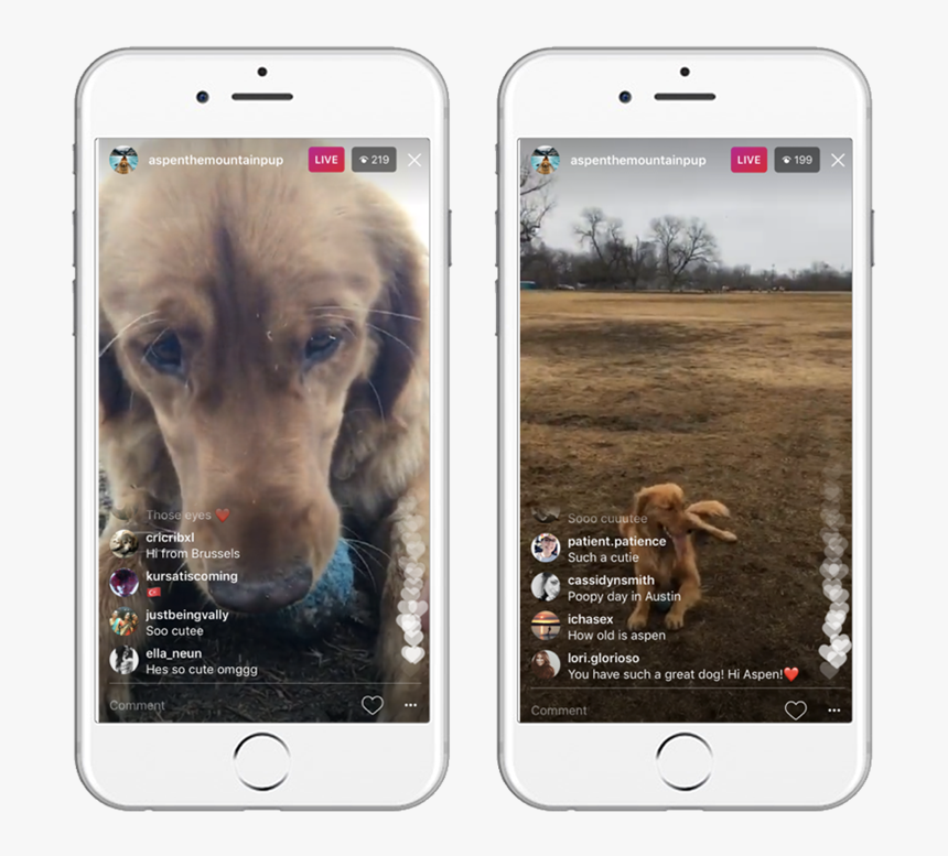 Share Live Moments - Iphone, HD Png Download