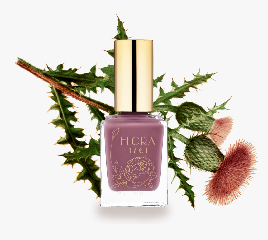 Transparent Nail Polish Png, Png Download