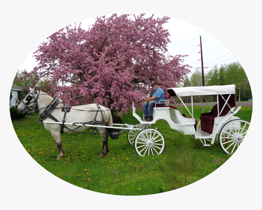 We Are Cathy, Owner, And Partner Roger, Operator, Of - Chaise, HD Png Download