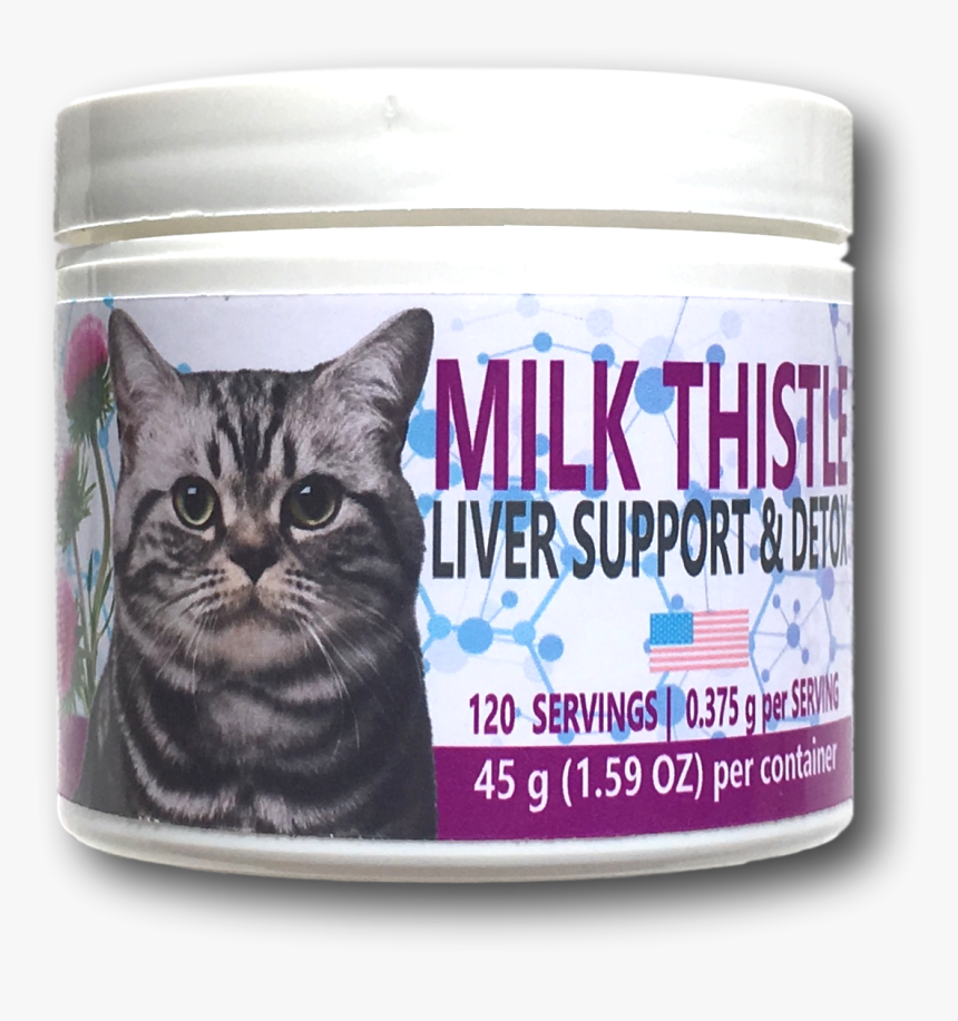 Kitten, HD Png Download