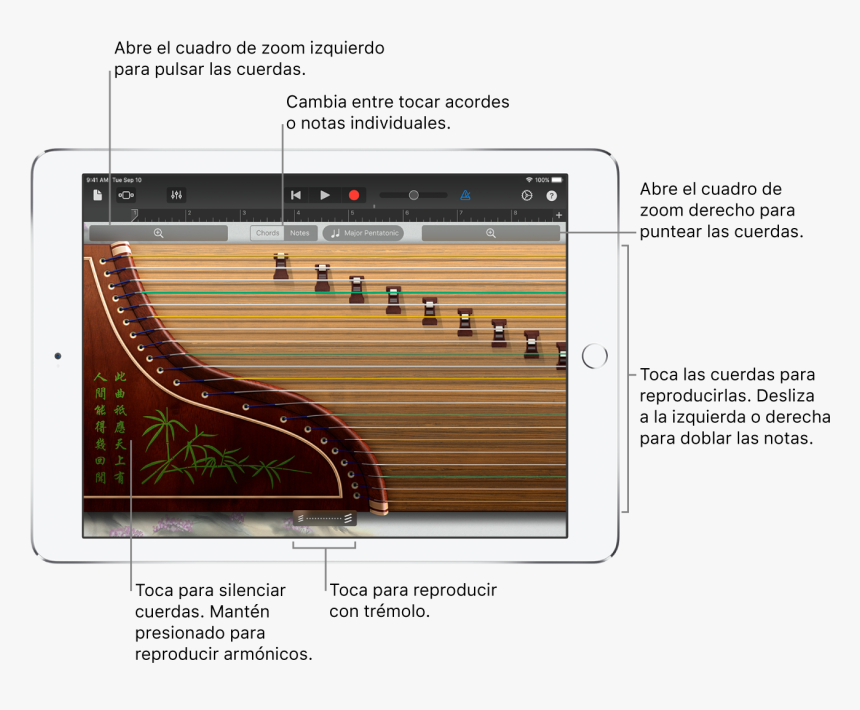 Guzheng, HD Png Download