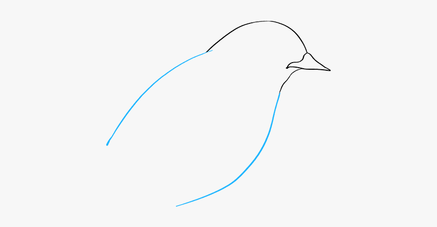 How To Draw Eastern Bluebird - Sketch, HD Png Download