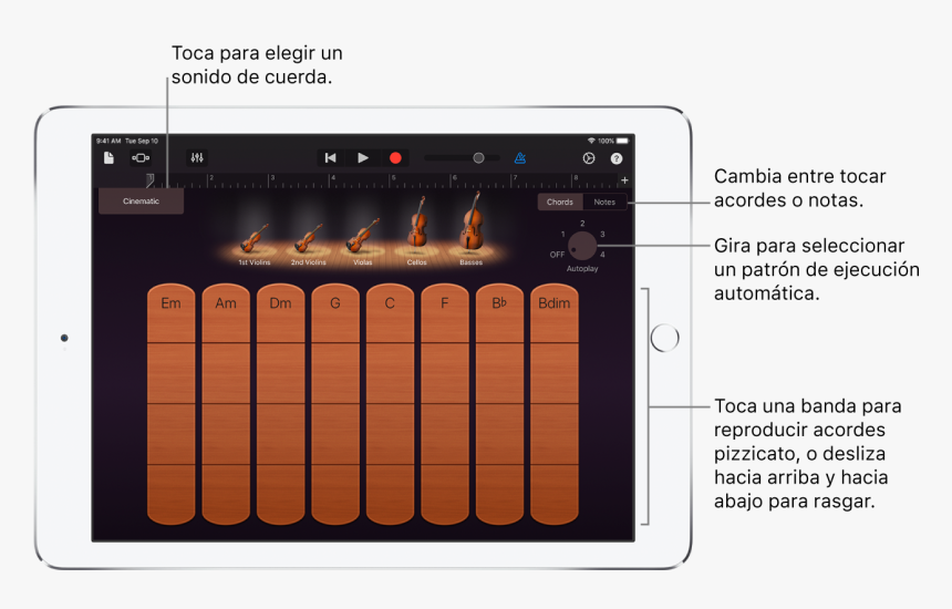 Instrumento Táctil Cuerdas - String Instrument, HD Png Download