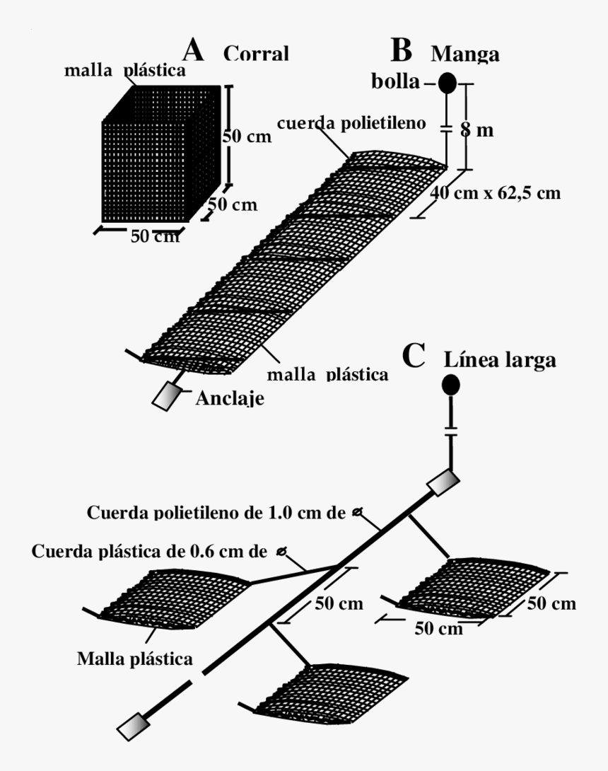 Diagram, HD Png Download