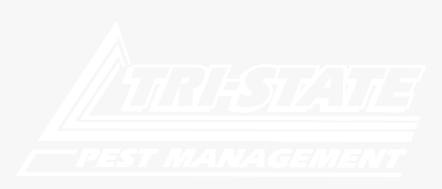 Poster, HD Png Download