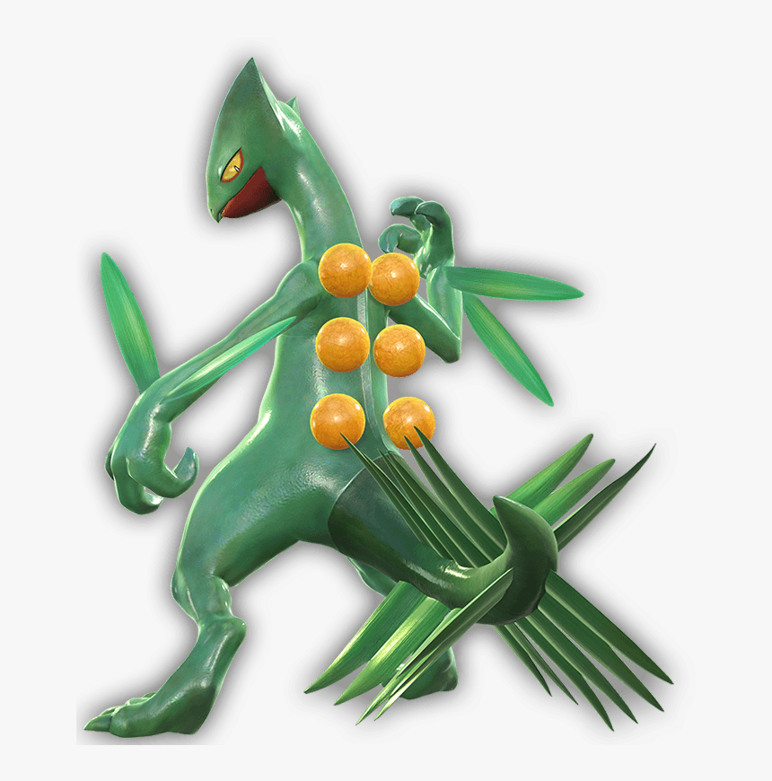 Pokkén Tournament Pokémon Omega Ruby And Alpha Sapphire, HD Png Download