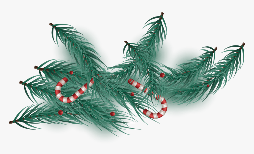 Christmas Tree, HD Png Download