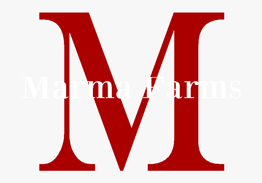 Masters Conference, HD Png Download