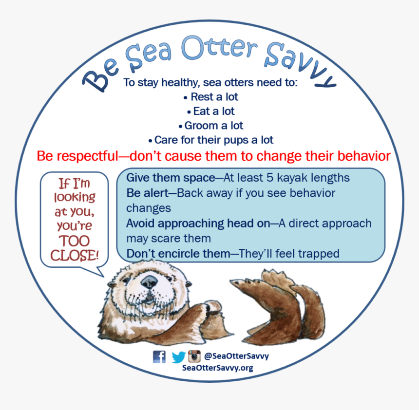 Kayakdecal2016 Sea Otter Savvy - Morro Bay Sea Otter Savvy Sticker, HD Png Download