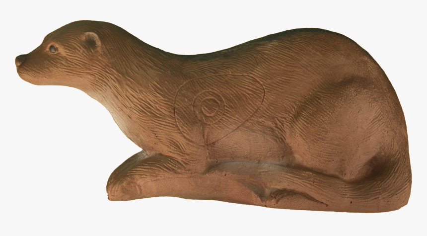 Sea Otter Png , Png Download - Steller Sea Lion, Transparent Png