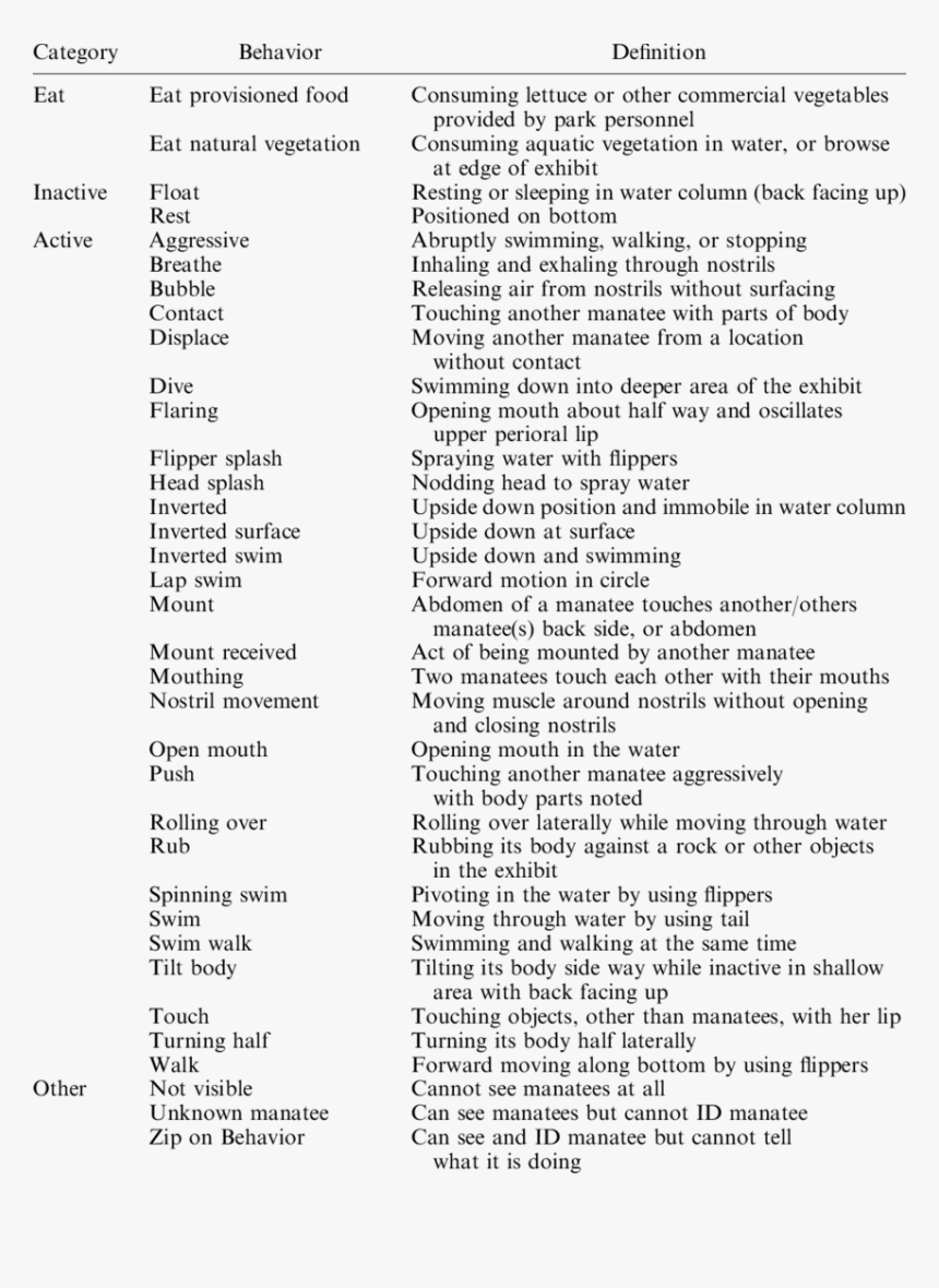 Document, HD Png Download