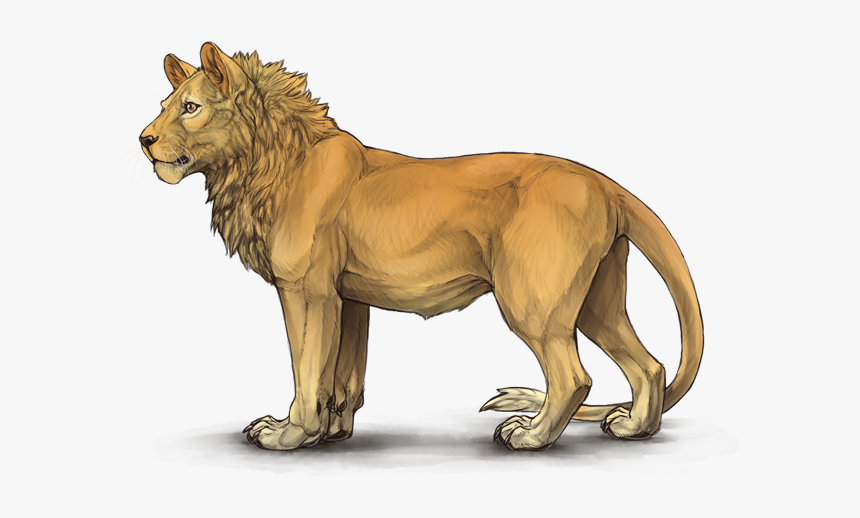 Lioden First Gen Leopon, HD Png Download