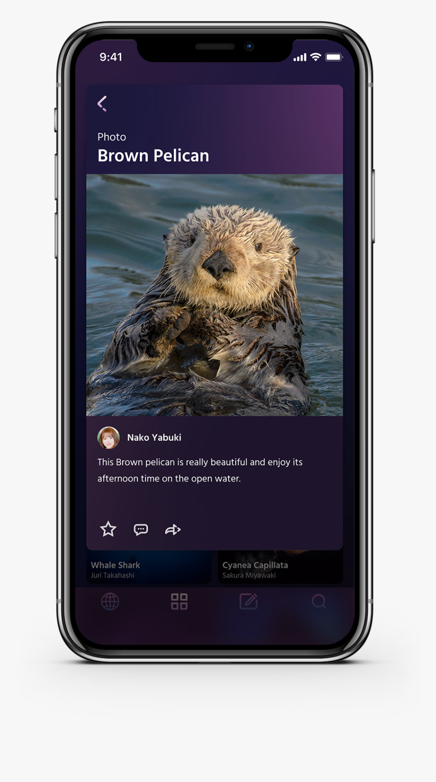 Gallery-post - Smartphone, HD Png Download