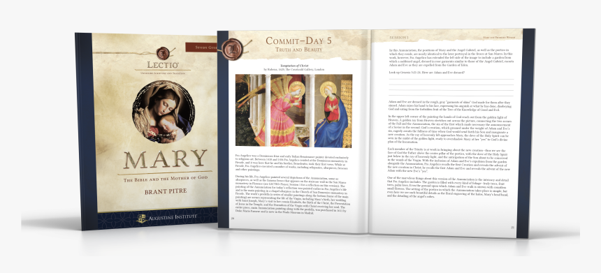 Flyer, HD Png Download