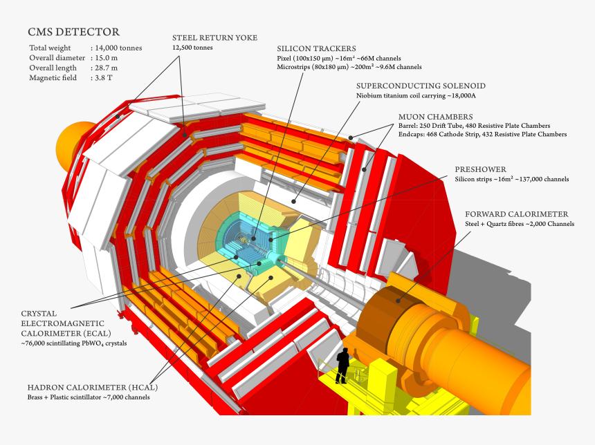 Cms Detector Cern, HD Png Download