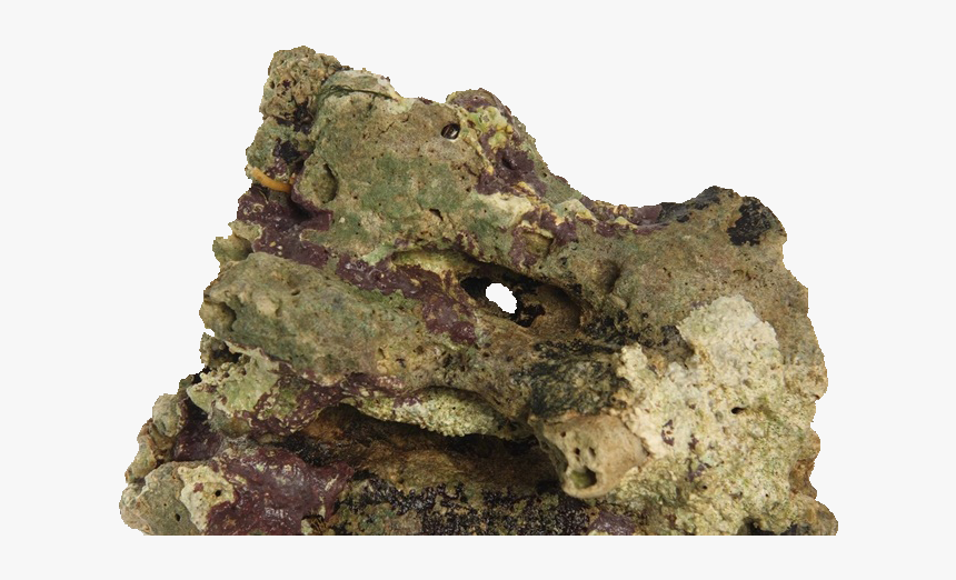 Live Rocks Clear Background, HD Png Download