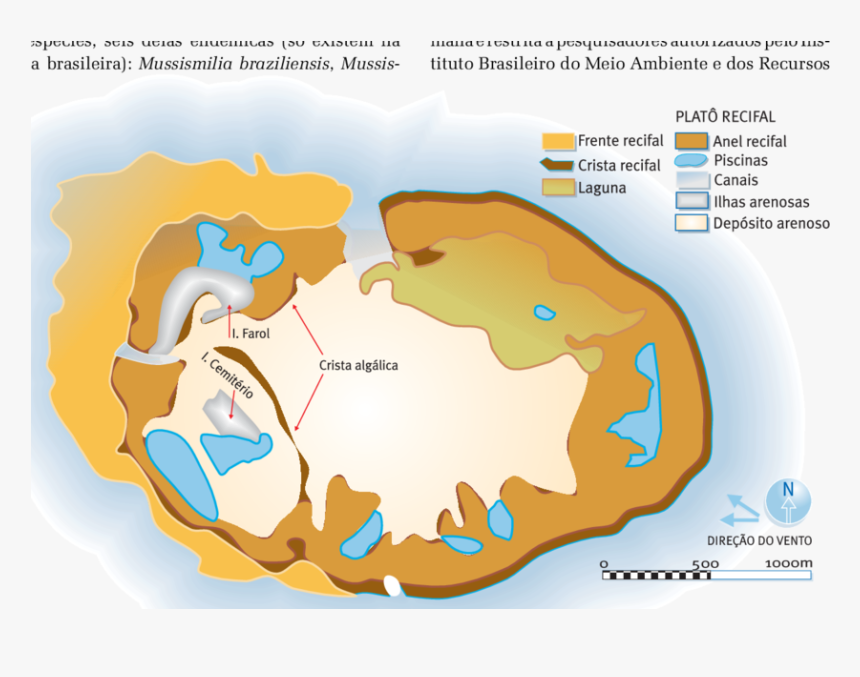 Esquema Do Atol Das Rocas, Mostrando A Localização - Map, HD Png Download
