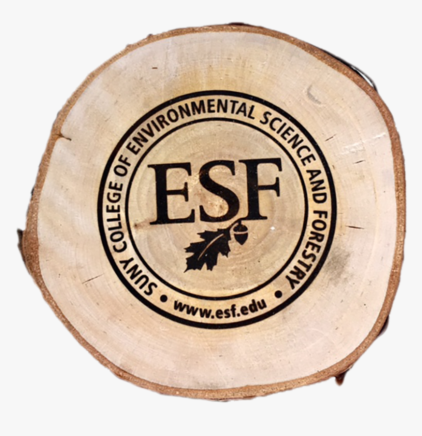 Wood Discs - State University Of New York College Of Environmental, HD Png Download