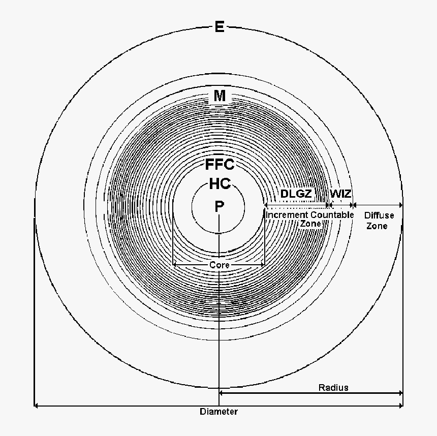 Circle, HD Png Download