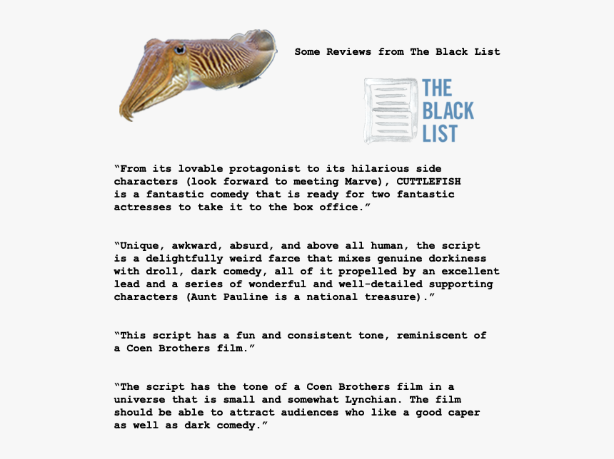 Cuttlefish Quotes Page Vertical Transparent - Fish Products, HD Png Download