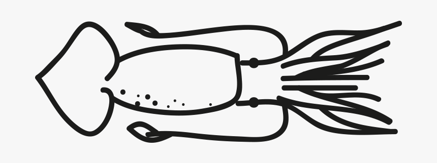 Pota Illex Argentinus Todarodes Spp Illex Illecebrosus - Sotong Clipart Black And White, HD Png Download
