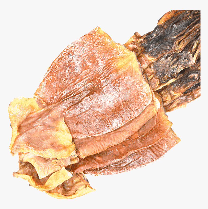 Dried Squid Png, Transparent Png
