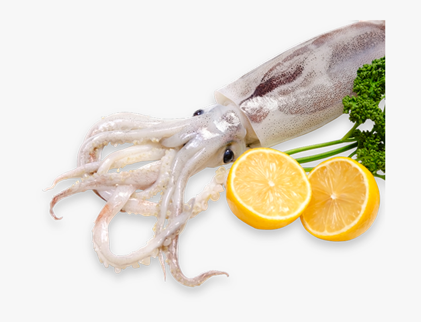 Fish, HD Png Download