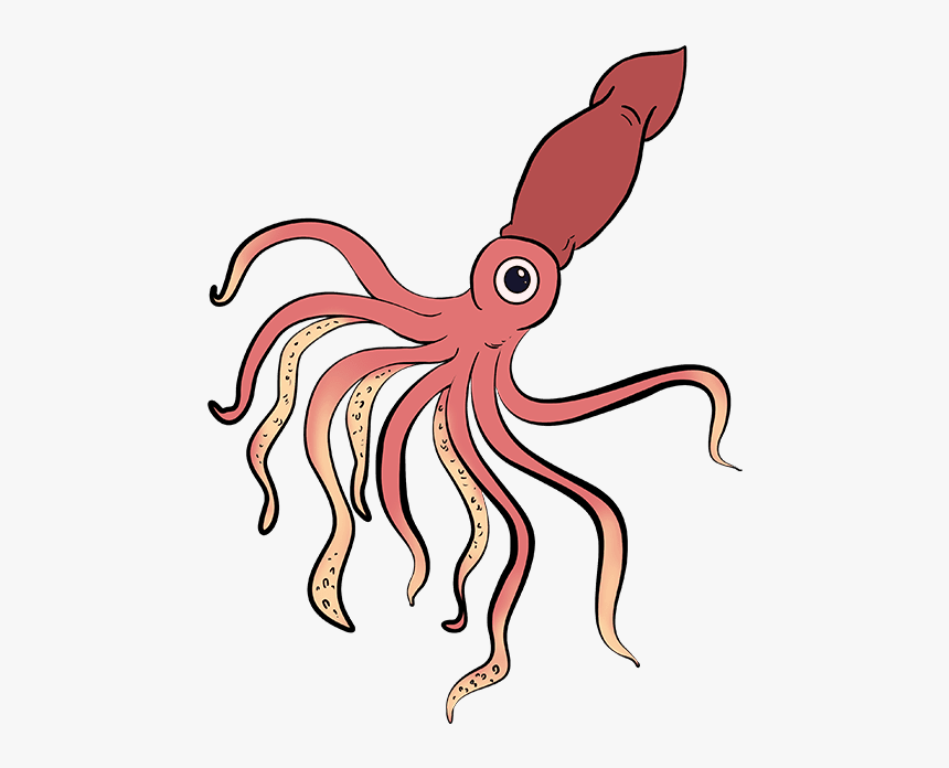 How To Draw Squid - Giant Squid Drawing Easy, HD Png Download