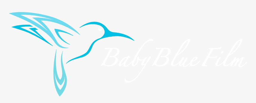 Baby Blue Film - Colibri Png, Transparent Png