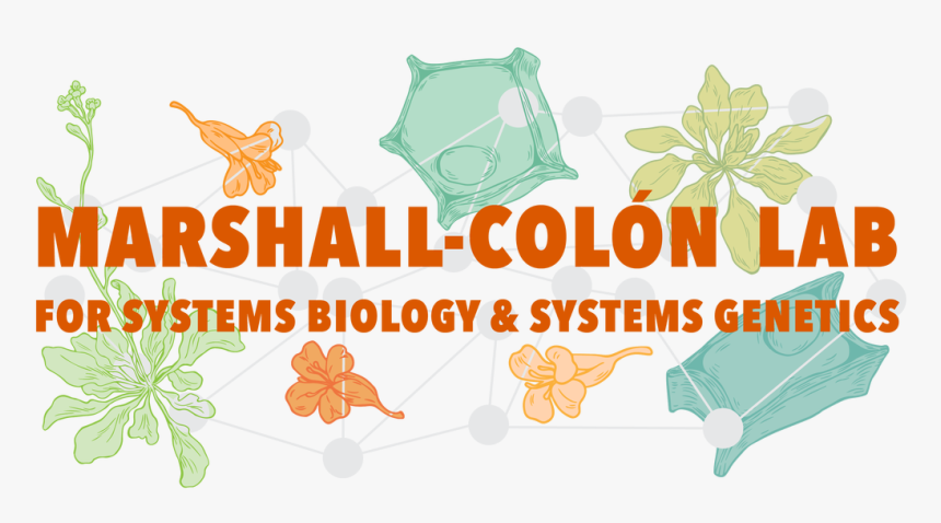 Picture, HD Png Download