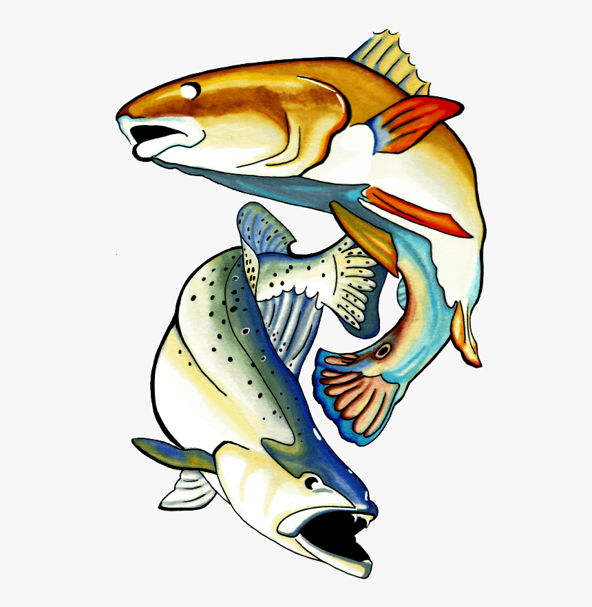 Charter Communications Clipart , Png Download - Redfish And Trout Clipart, Transparent Png