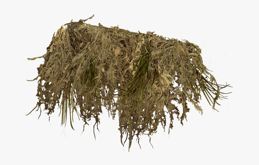 Ghilliegunwraptan - Hay, HD Png Download
