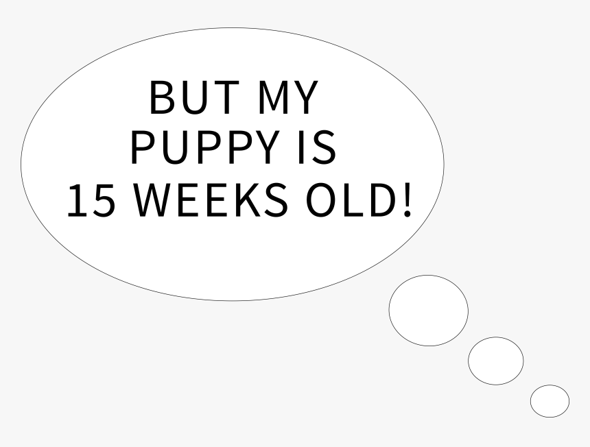 Circle, HD Png Download