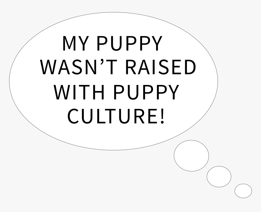 Arteba 2009, HD Png Download