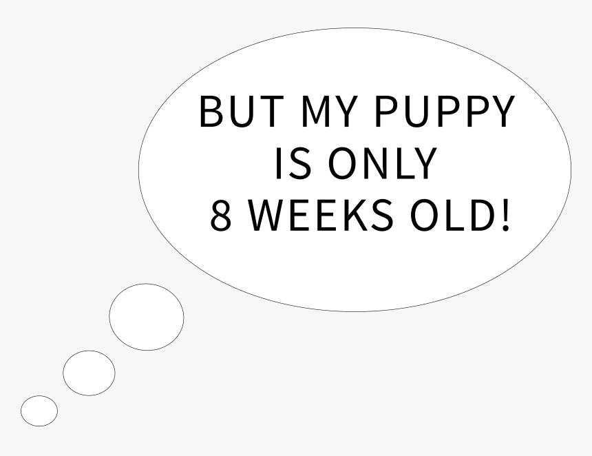 Circle, HD Png Download