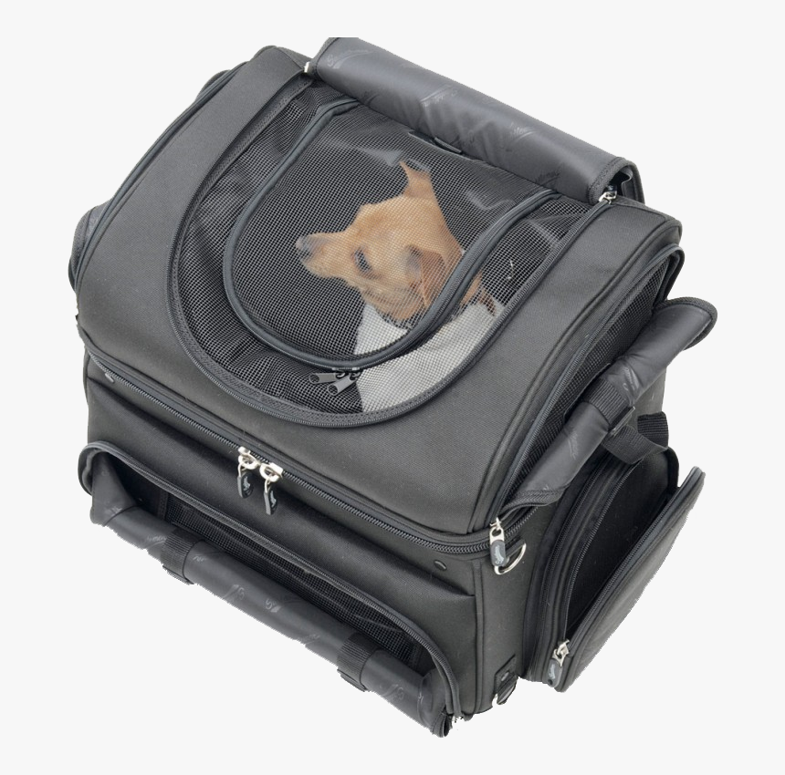 Saddlemen Pet Voyager - Motorcycle Pet Carrier, HD Png Download