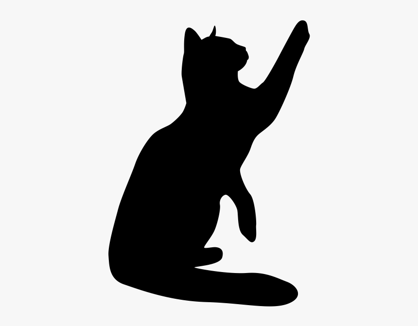 Cat Sticker Wall Decal - Transparent Background Transparent Decal, HD Png Download