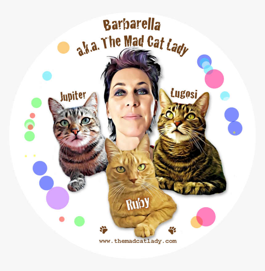 Domestic Short-haired Cat, HD Png Download