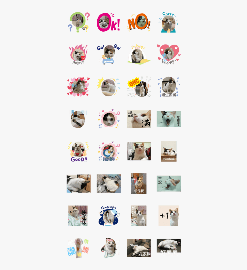 Maan The Mad Cat - Dog Licks, HD Png Download
