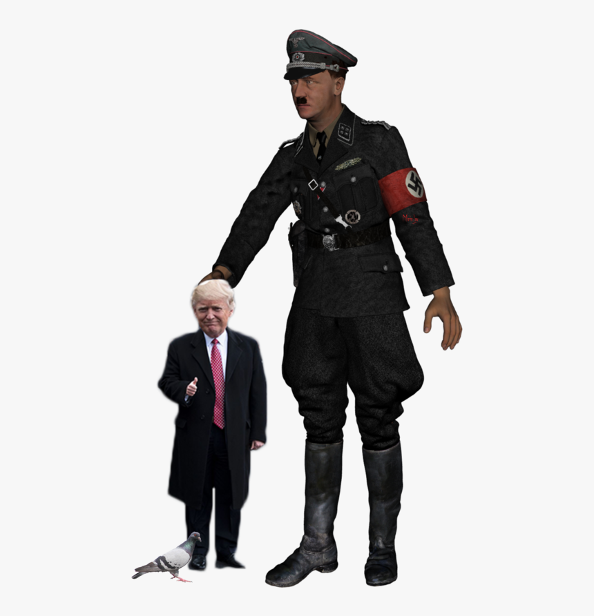 [​img] - Pigeon, HD Png Download