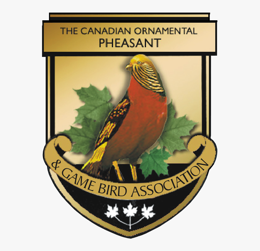 Emblem, HD Png Download