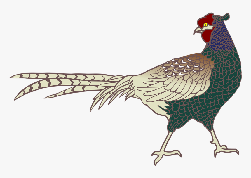 Green Pheasant Bird Png, Transparent Png