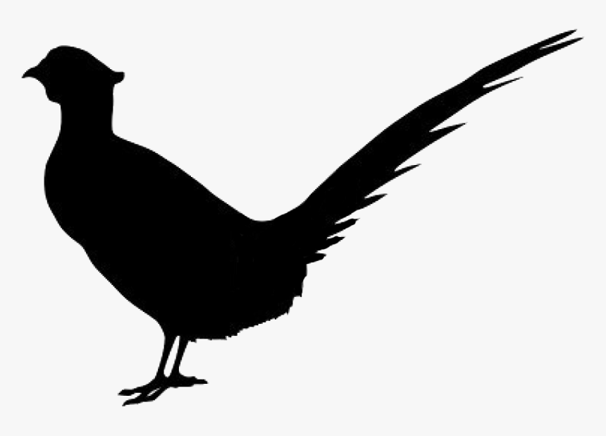 Pheasant , Png Download - Silhouette Pheasant Png, Transparent Png