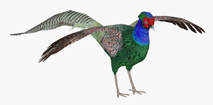 Green Pheastan - Turkey, HD Png Download