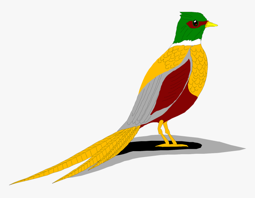 Ring Necked Pheasant Clip Art, HD Png Download