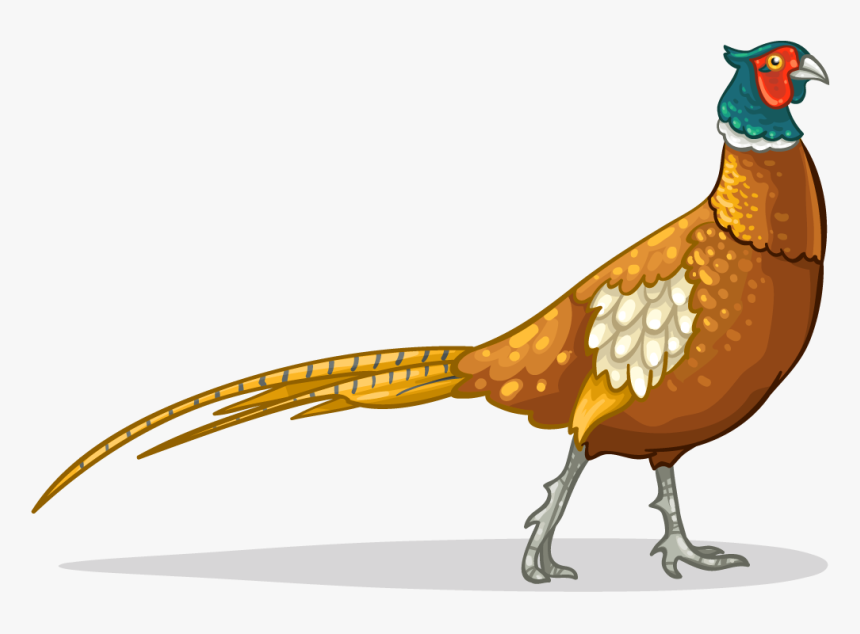 Pheasant Icon Clipart , Png Download - Golden Pheasant Bird Clipart, Transparent Png